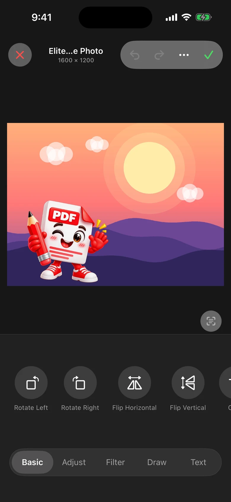 Image editor, Basic tab